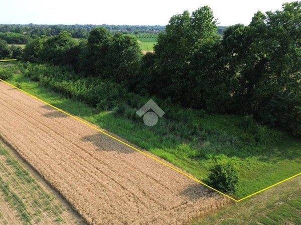 terreno agricolo in vendita a Castelfranco Veneto in zona Villarazzo