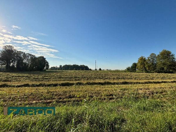 terreno agricolo in vendita a Castelfranco Veneto