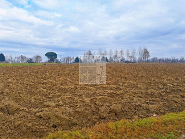 terreno agricolo in vendita a Castelfranco Veneto in zona Treville