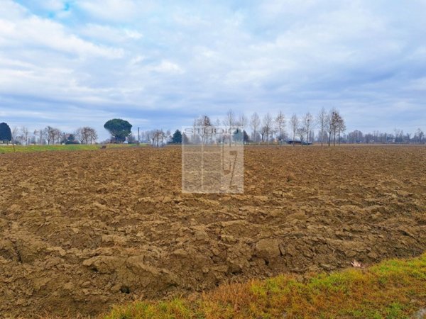 terreno agricolo in vendita a Castelfranco Veneto