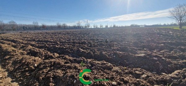 terreno agricolo in vendita a Castelfranco Veneto