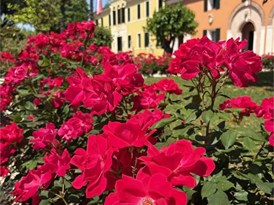 casa indipendente in vendita a Castelfranco Veneto