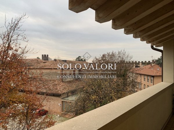 appartamento in vendita a Castelfranco Veneto in zona Salvarosa