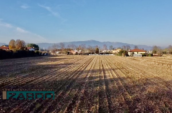 terreno agricolo in vendita a Castello di Godego