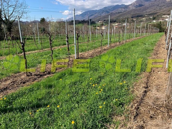 casale in vendita a Cavaso del Tomba