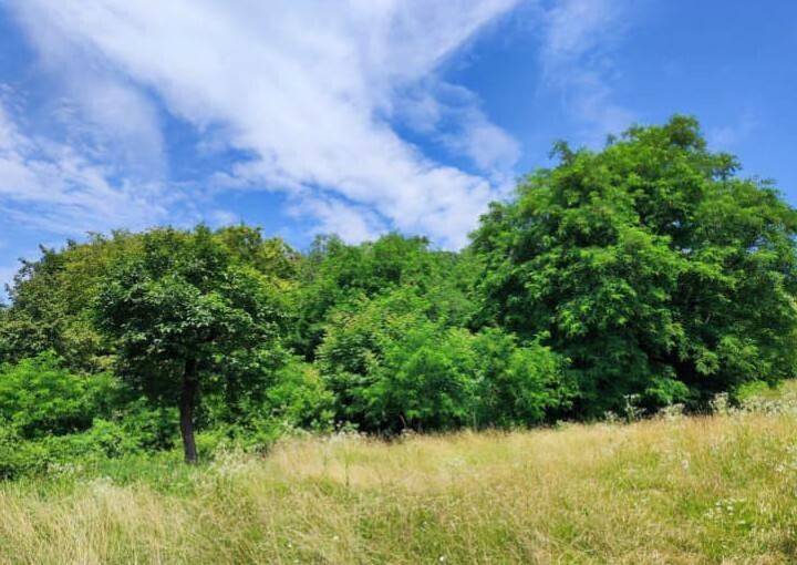 casa indipendente in vendita a Cavaso del Tomba