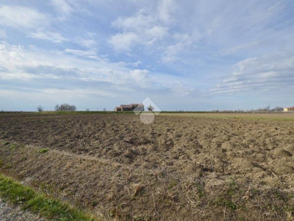 terreno agricolo in vendita a Cessalto