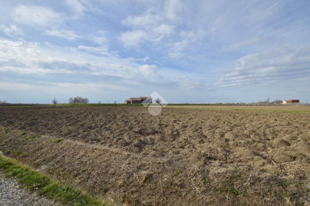 terreno agricolo in vendita a Cessalto