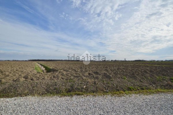 terreno agricolo in vendita a Cessalto