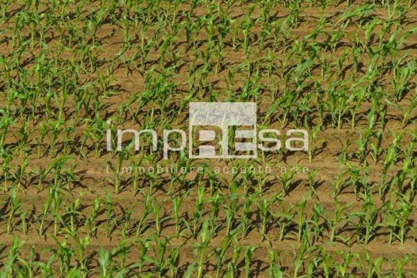 terreno edificabile in vendita a Cessalto