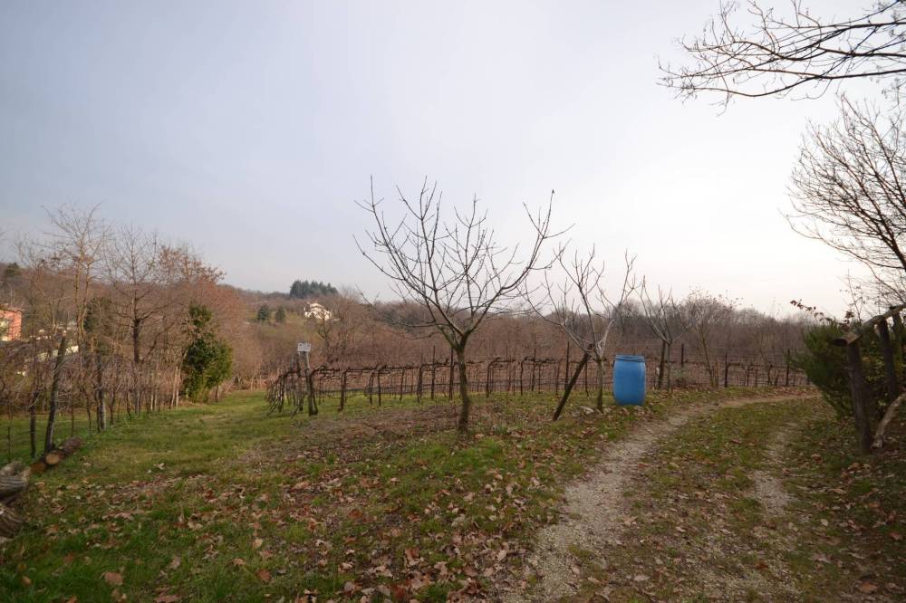 terreno agricolo in vendita a Cessalto