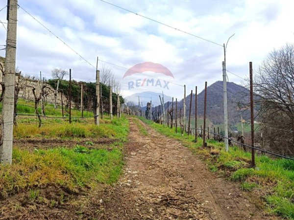 terreno agricolo in vendita a Cimadolmo