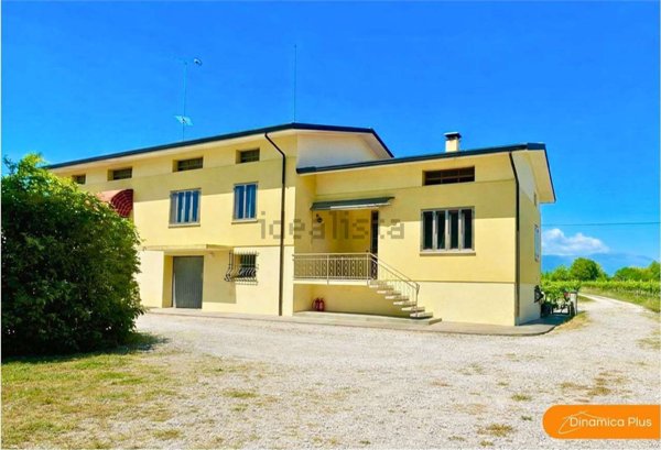 pentavano in vendita a Codognè