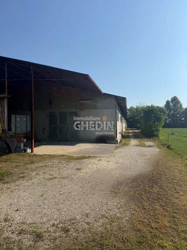 terreno agricolo in vendita a Codognè