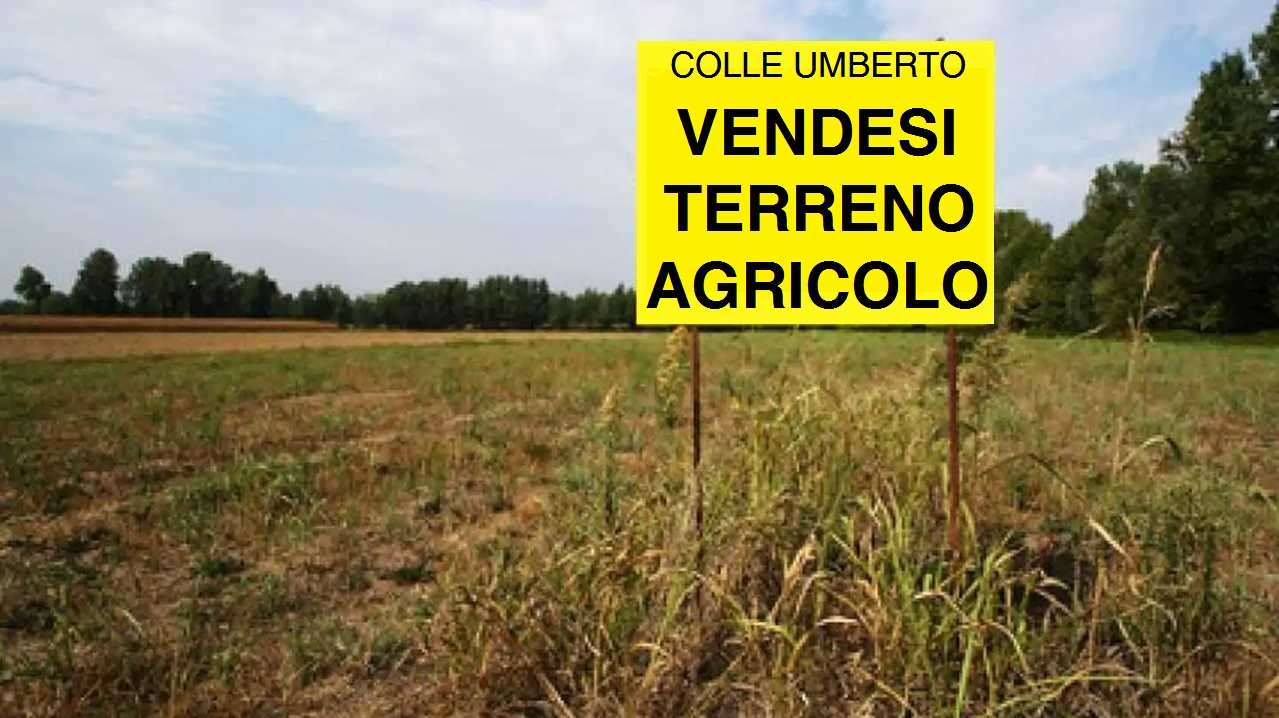 terreno agricolo in vendita a Colle Umberto