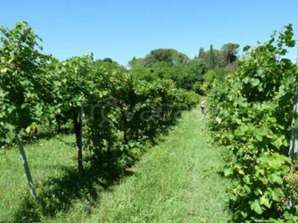 terreno edificabile in vendita a Colle Umberto