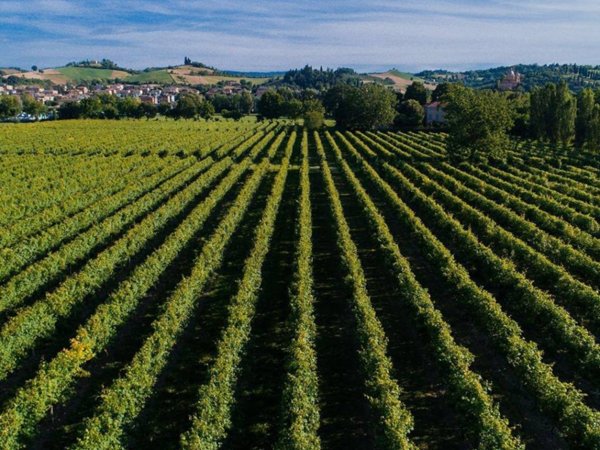 terreno agricolo in vendita a Colle Umberto