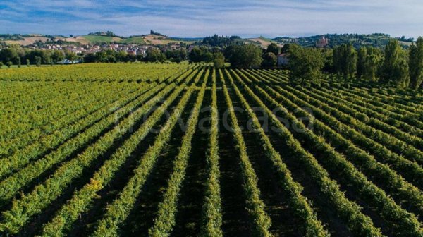 terreno agricolo in vendita a Colle Umberto