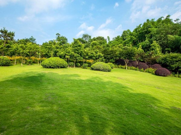 terreno edificabile in vendita a Colle Umberto in zona San Martino