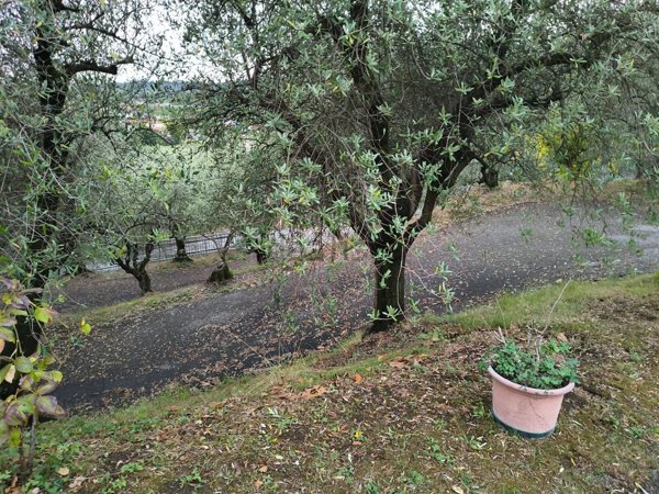casa indipendente in vendita a Colle Umberto in zona San Martino