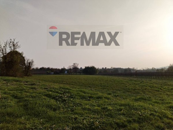 terreno agricolo in vendita a Colle Umberto