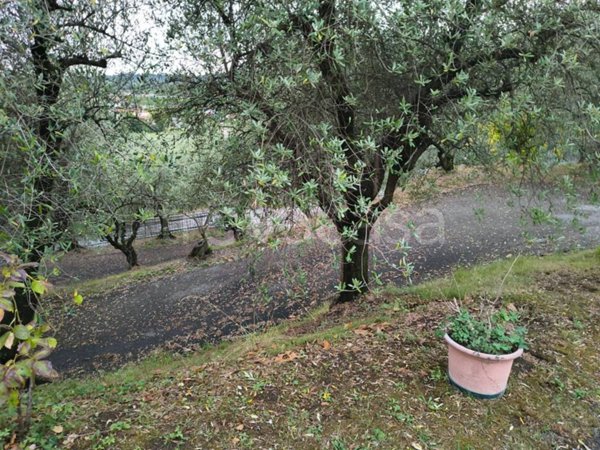 immagine annuncio 0 di 15