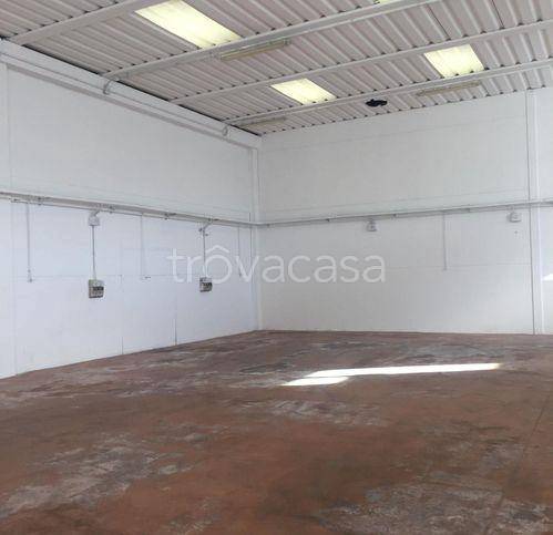 appartamento in affitto a Conegliano