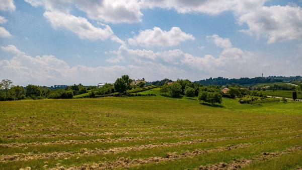 negozio in vendita a Conegliano