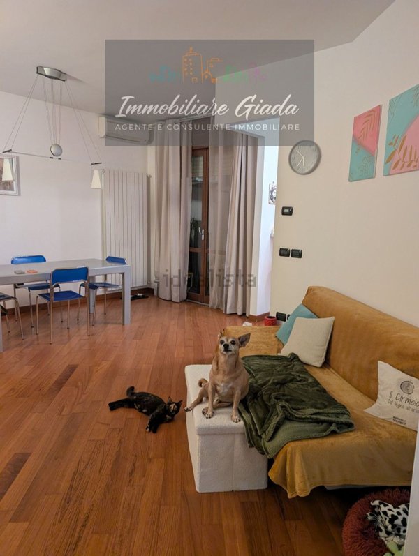 appartamento in vendita a Conegliano