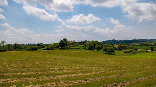 terreno edificabile in vendita a Conegliano