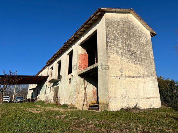 esavano in vendita a Conegliano in zona Collalbrigo