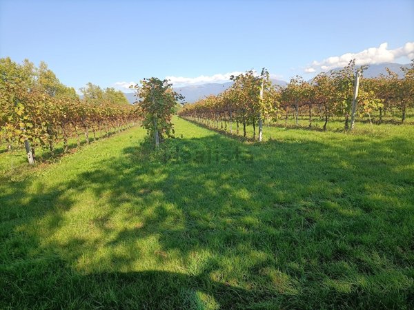 terreno agricolo in vendita a Conegliano