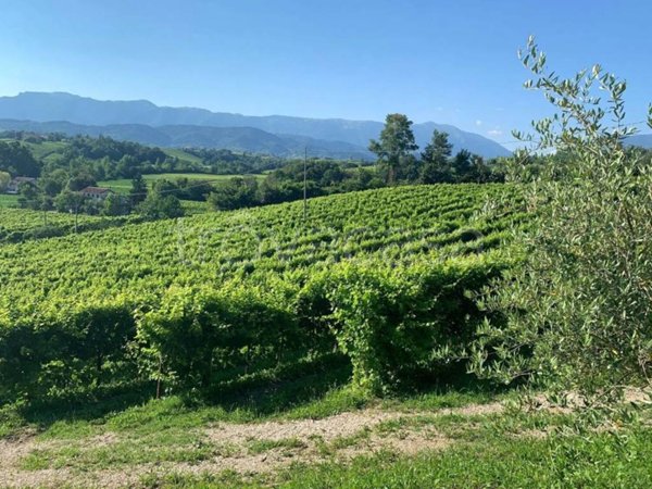terreno agricolo in vendita a Conegliano