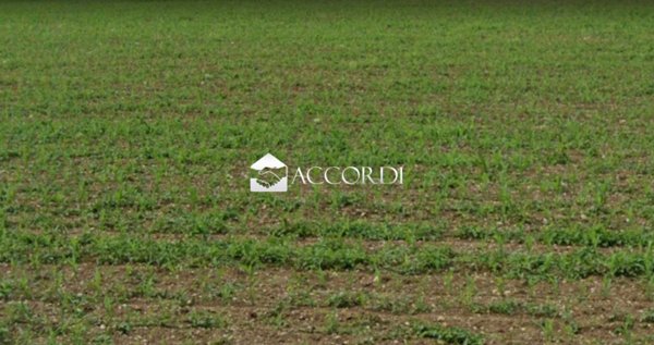 casa indipendente in vendita a Conegliano