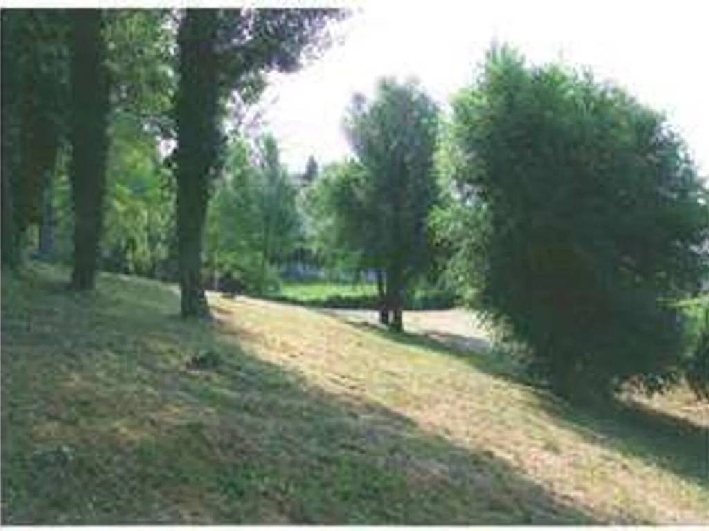 terreno agricolo in vendita a Conegliano