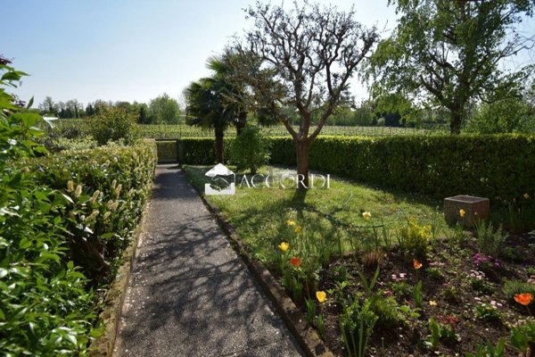 pentavano in vendita a Conegliano