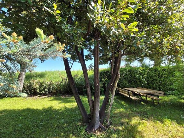 appartamento in vendita a Conegliano