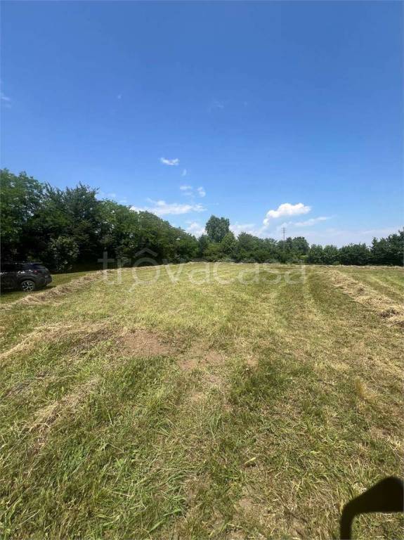 terreno agricolo in vendita a Conegliano in zona Campolongo