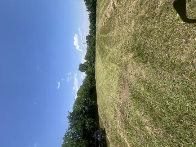 terreno agricolo in vendita a Conegliano