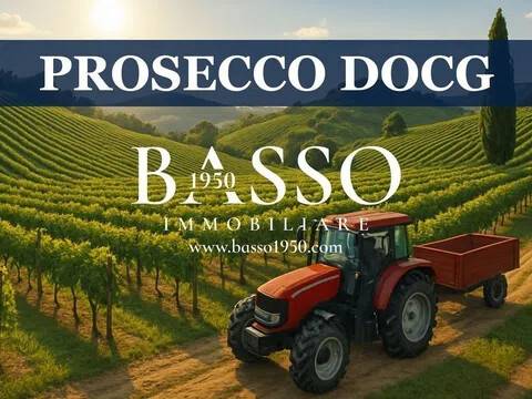terreno agricolo in vendita a Conegliano