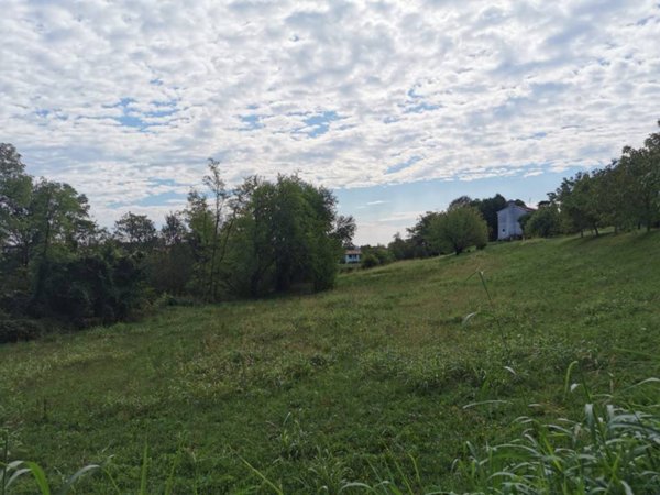 terreno in vendita a Conegliano in zona Ogliano