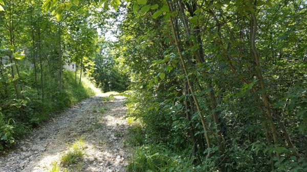 appartamento in vendita a Cornuda