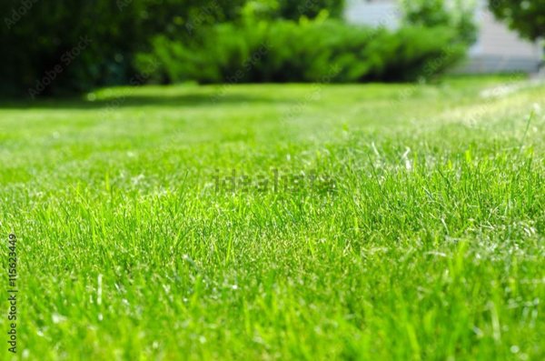 terreno edificabile in vendita a Crocetta del Montello