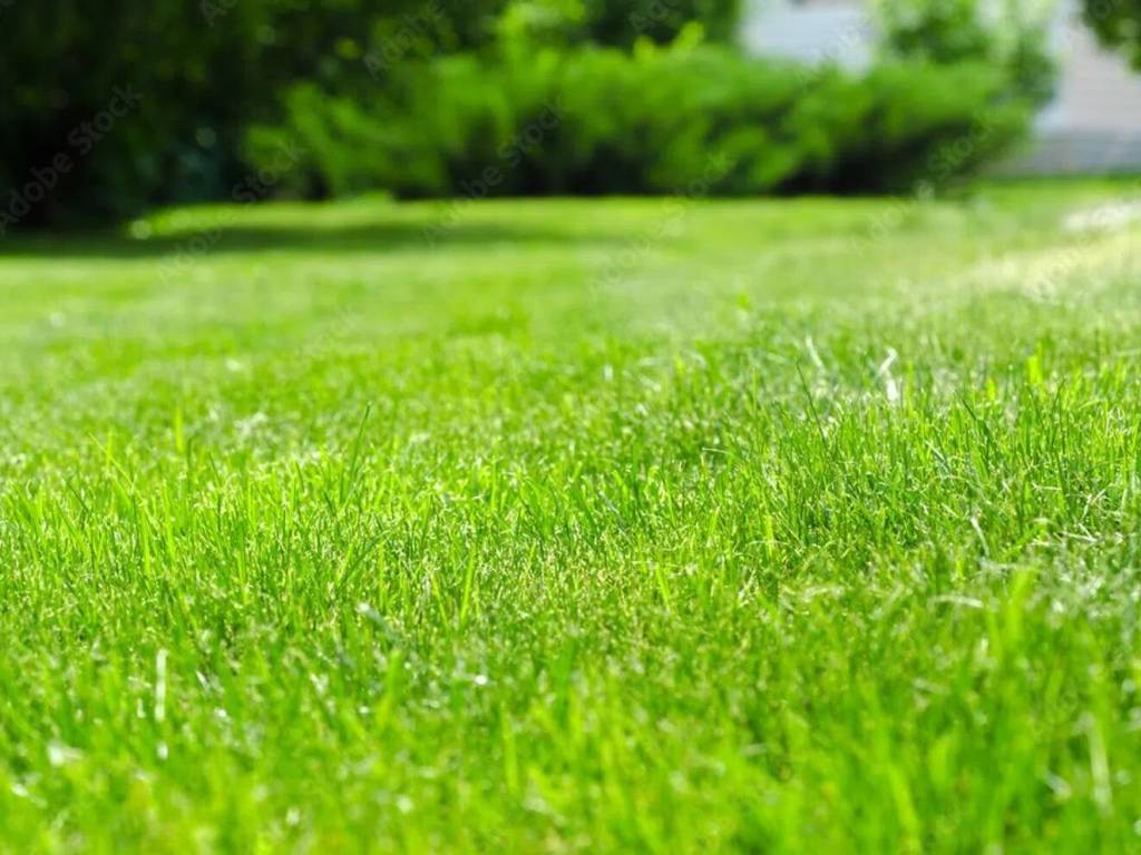terreno agricolo in vendita a Crocetta del Montello