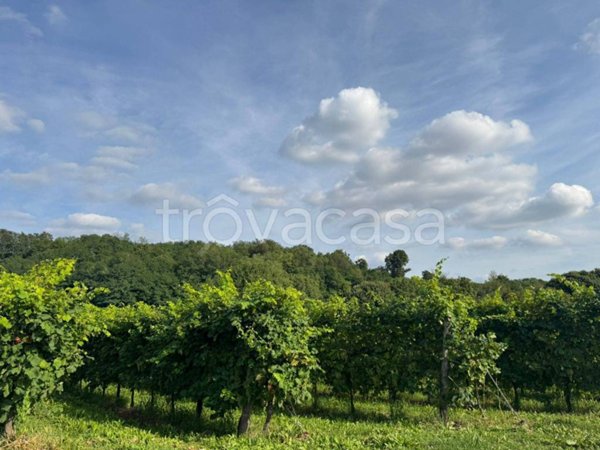 terreno agricolo in vendita a Crocetta del Montello