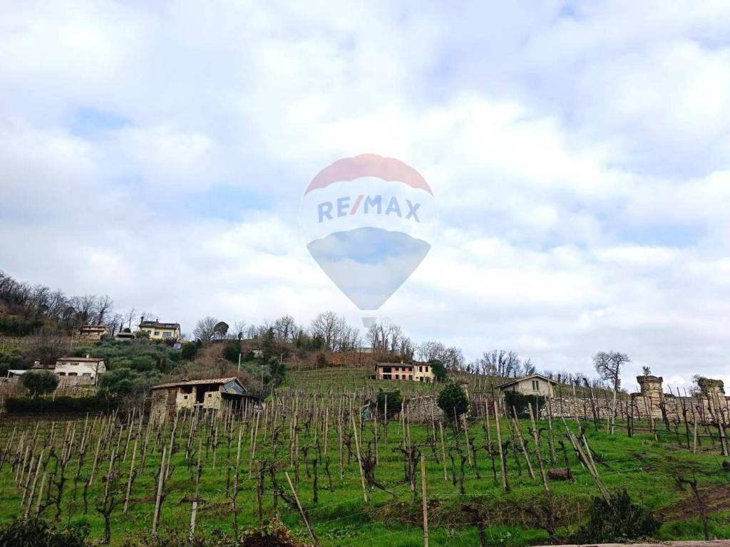 terreno agricolo in vendita a Farra di Soligo in zona Soligo