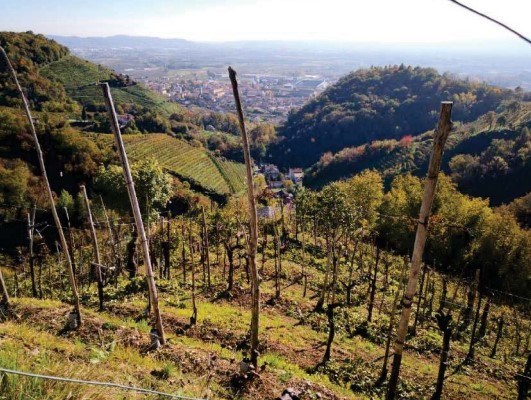 terreno agricolo in vendita a Farra di Soligo in zona Soligo