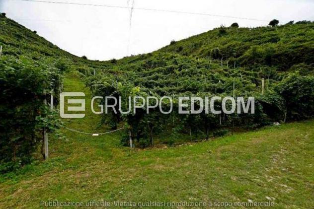 terreno agricolo in vendita a Farra di Soligo