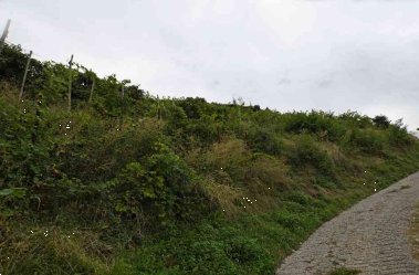terreno agricolo in vendita a Farra di Soligo