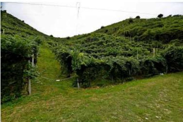 terreno agricolo in vendita a Farra di Soligo